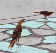 Death Valley Birds