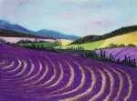 On Lavender Trail